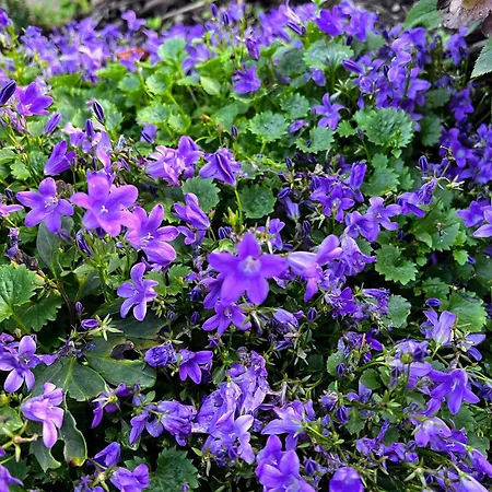 Gemütliche, Moderne In Fabrikanten Apartment