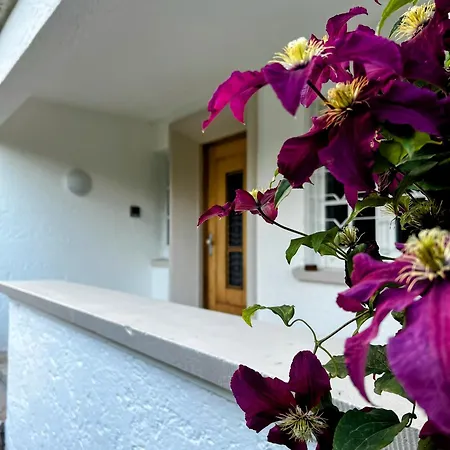 Gemütliche, Moderne In Fabrikanten