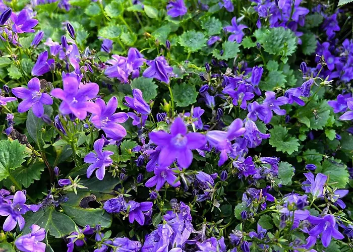 Gemuetliche, Moderne In Fabrikanten Appartement