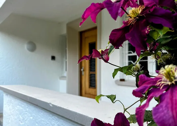 Gemuetliche, Moderne In Fabrikanten